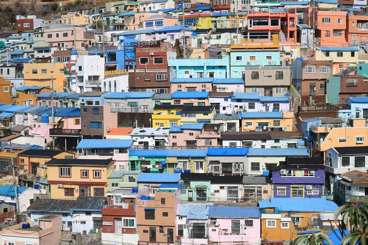 Private Busan tour with gamcheon culture village and the temple (Customizable) - Photo 1 of 12